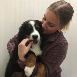 Meet your Posher, Charlotte